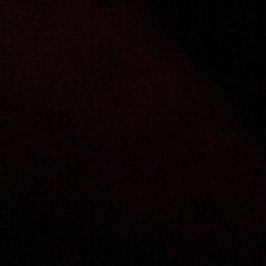 Meet your Posher, Leonna